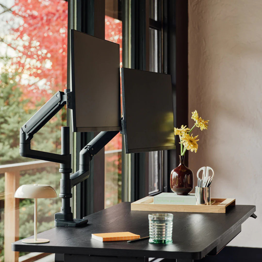 Monitor Arm