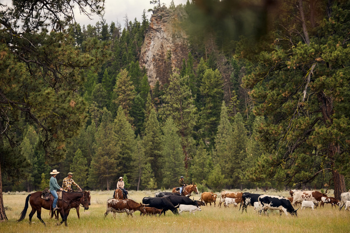 20240628_CattleDrive_92A6563.jpeg__PID:d309eac0-549c-4a89-92ef-f22a910ccf59