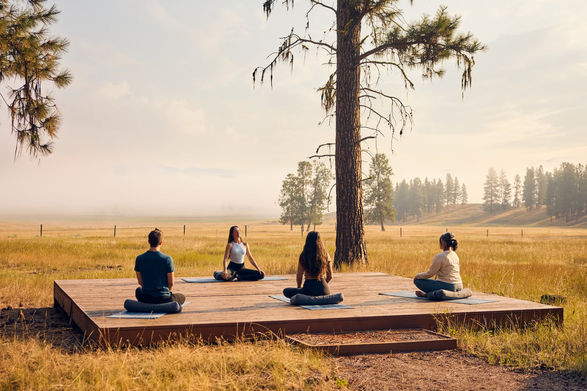 20240811_Yoga_92A0589.jpeg__PID:169d49f4-f483-4309-aac0-549caa89d2ef