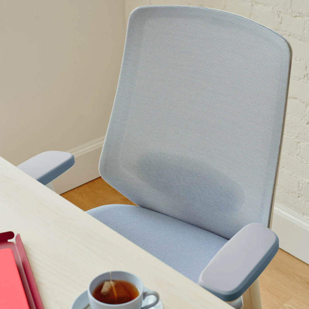 Ergonomic Chair Pro