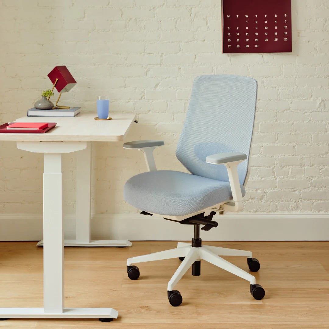 Ergonomic Chair Pro
