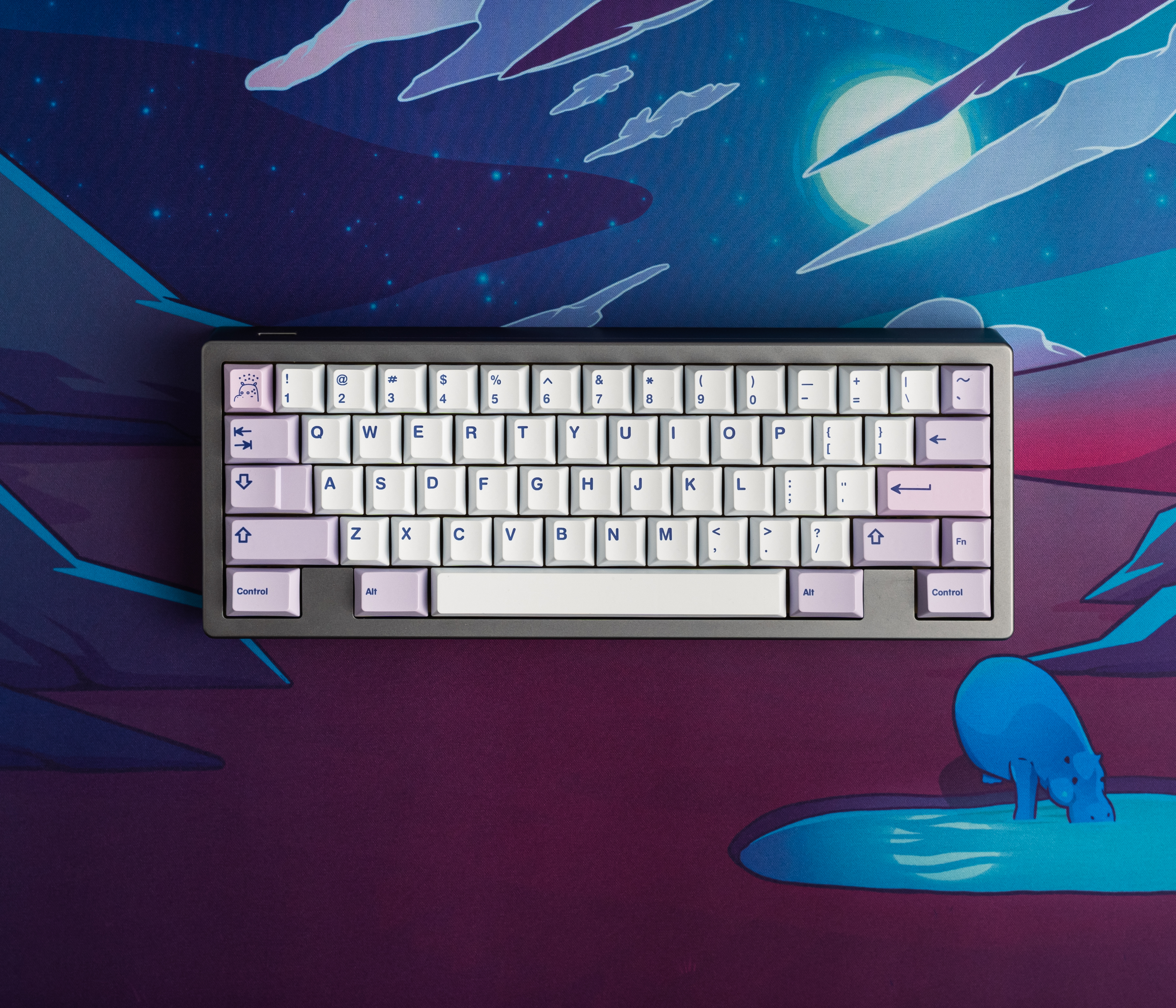 Hippo V2 PBT Keycaps