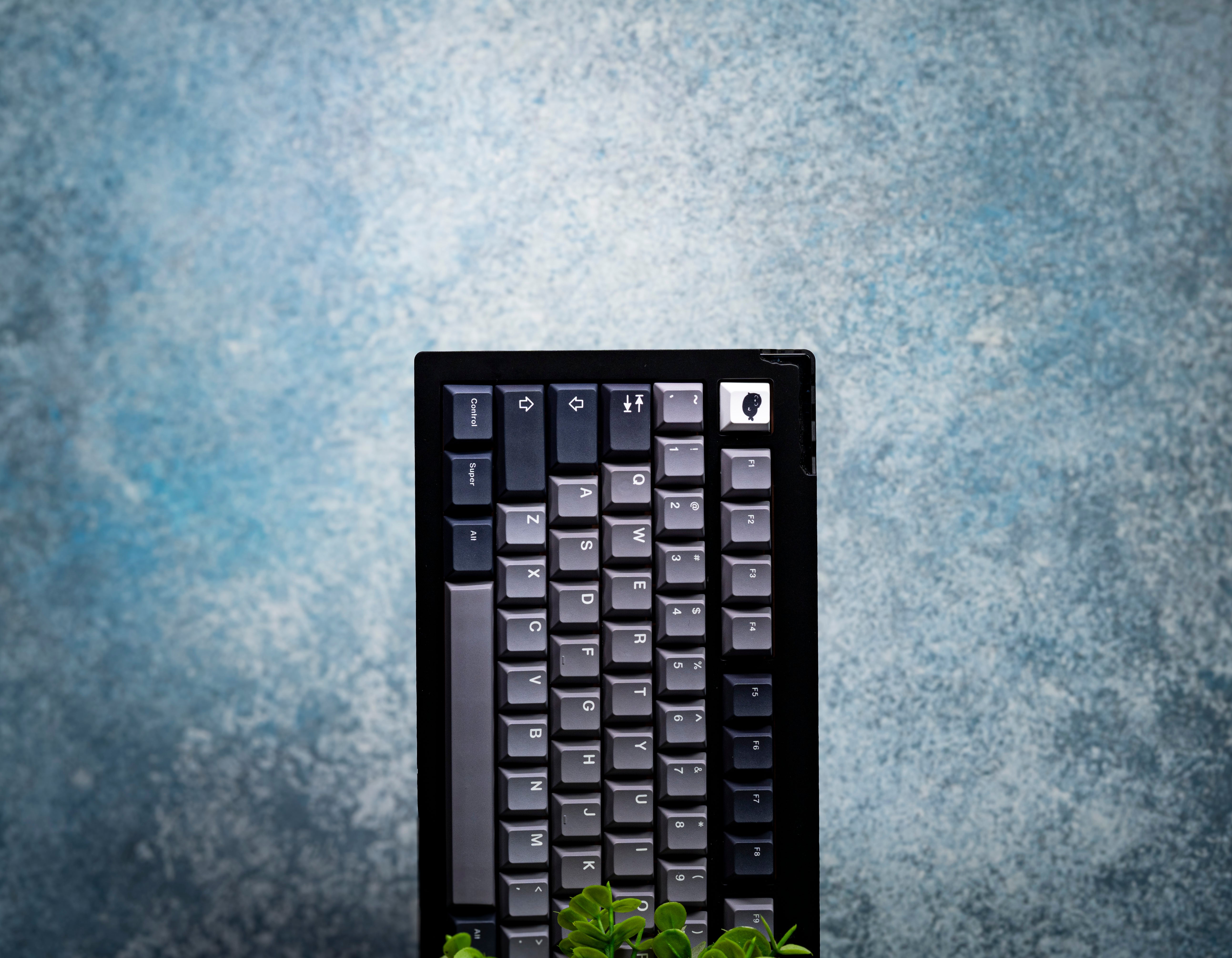 Seal PBT Keycaps V4