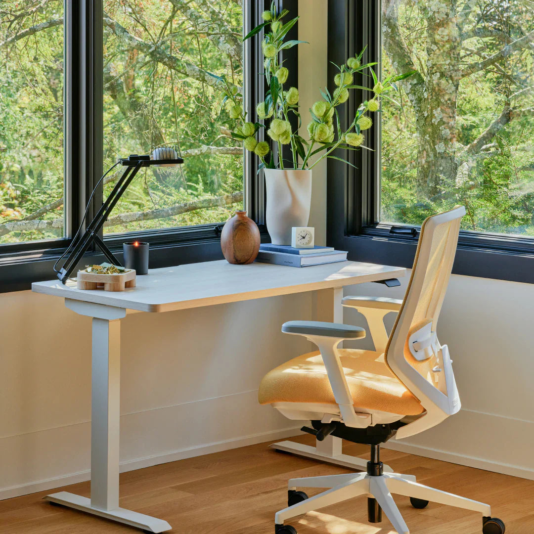 Ergonomic Chair Pro