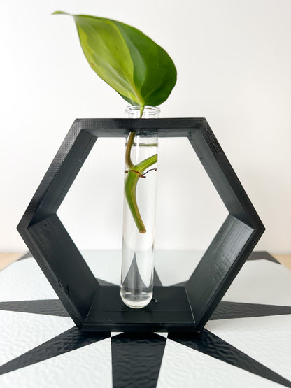 Hexagon Propagation Station